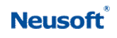 Neusoft Neusoft